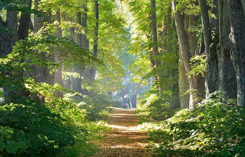 Wspólnota i poczucie bezpieczeństwa